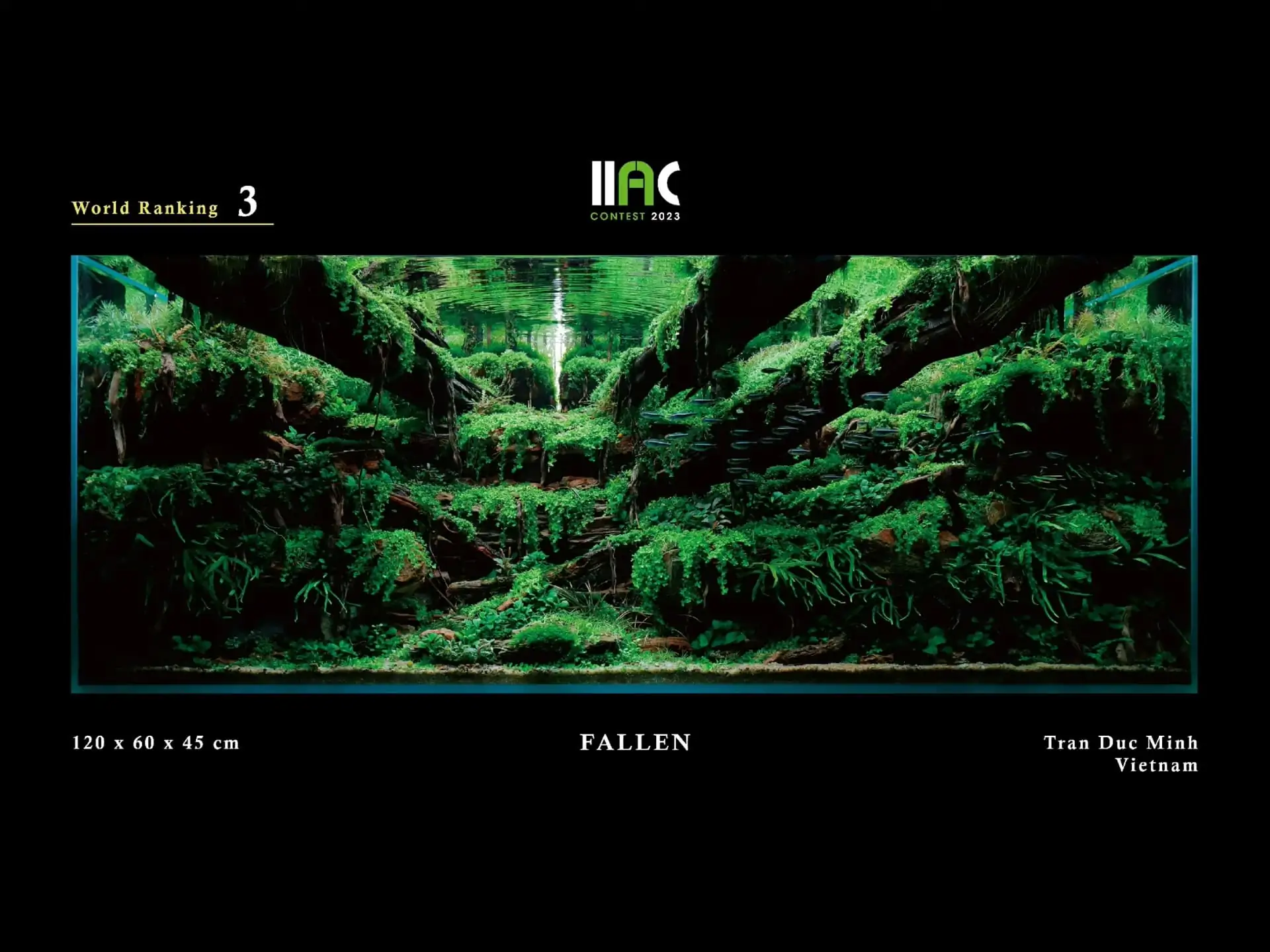 FALLEN - IIAC 2023 #03 Tran Duc Minh / Vietnam